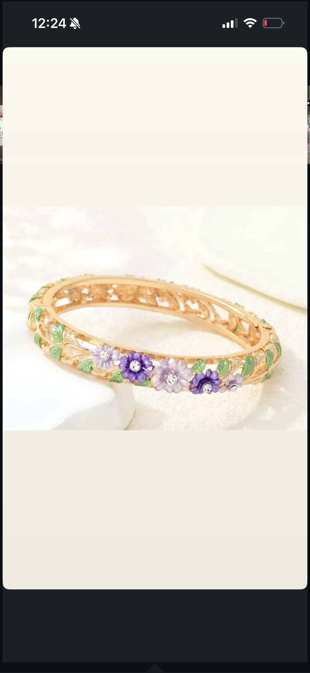 Premium bracelet